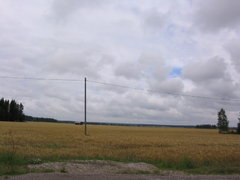 Ohravainio