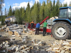 Koulun pihalta kaadettujen puiden pilkkominen 14/9-13